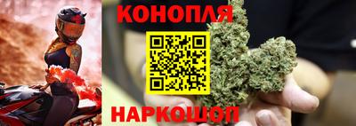 гашик Тулун