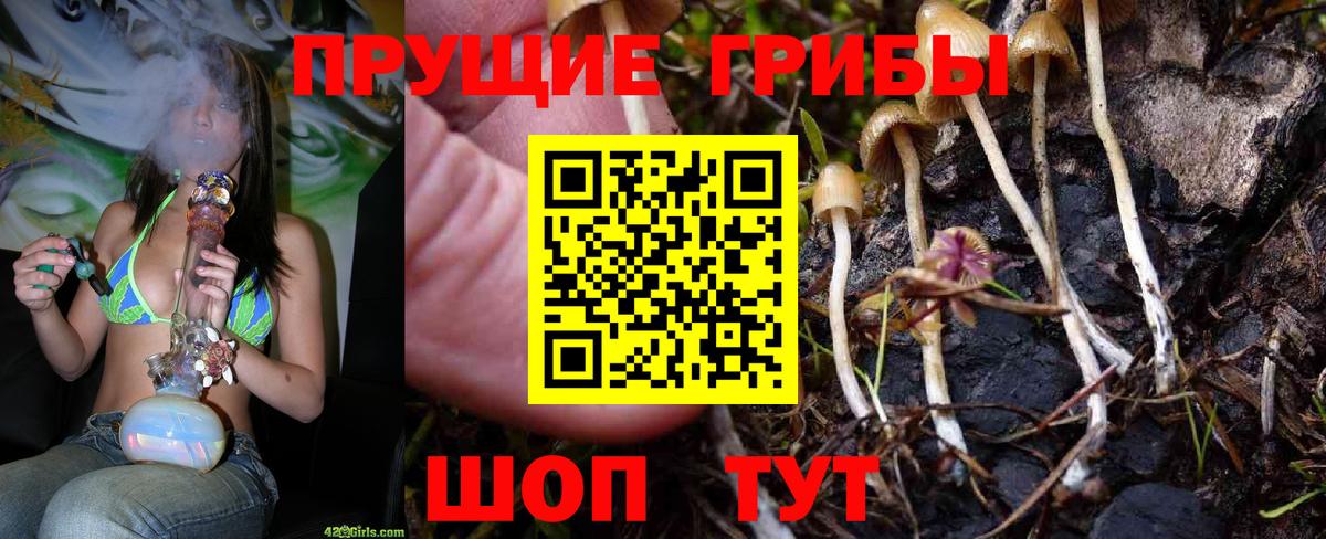 Мыски  Псилоцибиновые грибы GOLDEN TEACHER  Псилоцибиновые грибы GOLDEN TEACHER  Вход с VPN 