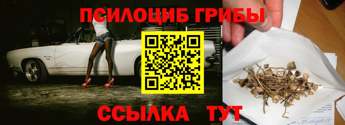 Псилоцибиновые грибы ЛСД Мыски